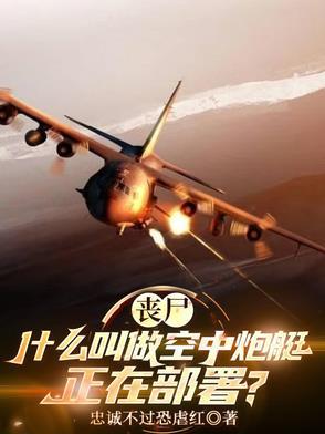 空中炮是什么意思