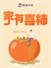 家有喜柿全文免费阅读