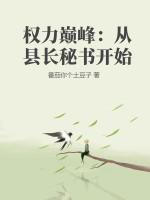 免费阅读权力巅峰全集