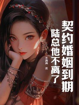 契约婚情陆家太太