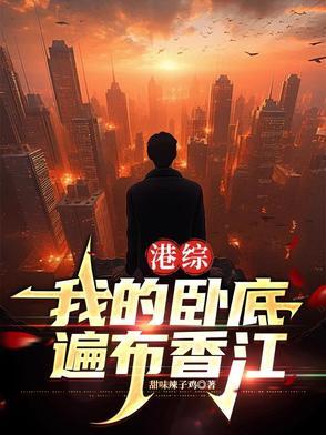 港综卧底