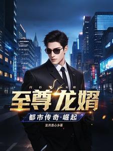 至尊龙婿无弹窗