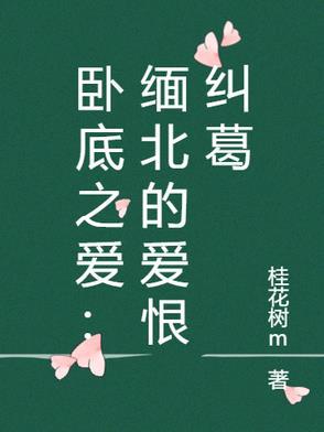 战争片卧底