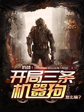 抗战开局一个机械化师