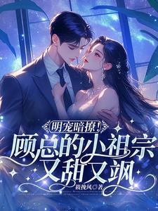 顾总的小祖宗惊