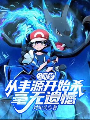 丰源宝可梦推荐