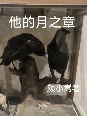 他的月牙