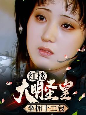大明圣皇后续