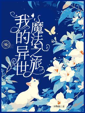 我的异世界之旅魔王攻略