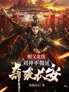 三国刘禅之子